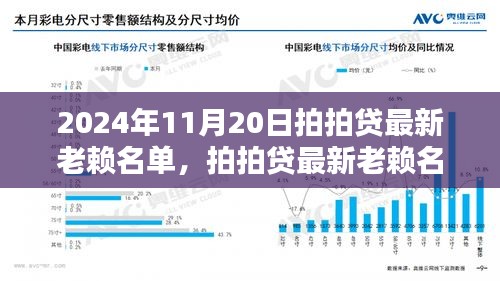 2024年11月20日拍拍贷最新老赖名单，拍拍贷最新老赖名单公布背后的信用社会建设思考