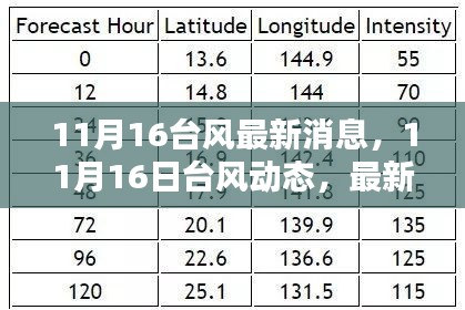 台风最新动态解析，11月16日台风消息全面解读