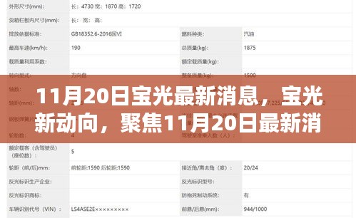 11月20日宝光最新动态深度解析与个人观点