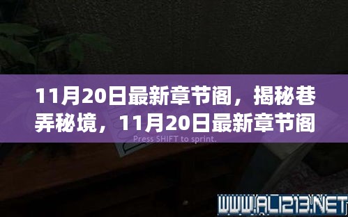 揭秘巷弄秘境，11月20日最新章节阁的奇幻探索之旅