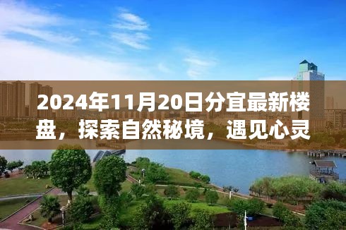 探索自然秘境，遇见心灵港湾——揭秘2024年分宜最新楼盘风采