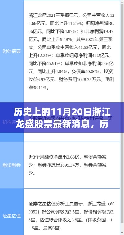 历史上的11月20日浙江龙盛股票最新动态，全方位解读与获取指南