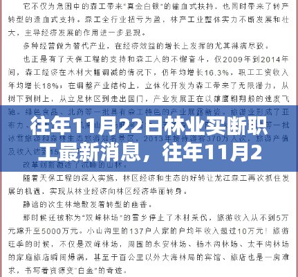 往年11月22日林业买断职工最新消息概览，获取与应对策略指南