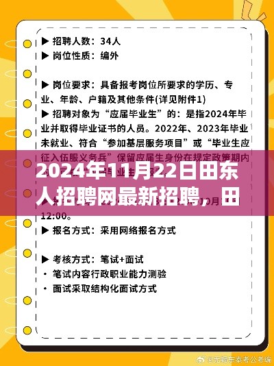 田东人招聘网最新招聘测评报告发布（2024年11月版）