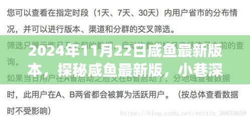 探秘咸鱼最新版，小巷深处的隐藏美食宝藏——特辑 2024年咸鱼最新更新版揭秘！