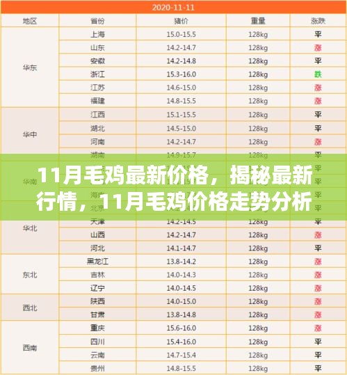 揭秘最新行情，11月毛鸡价格走势分析与最新价格信息