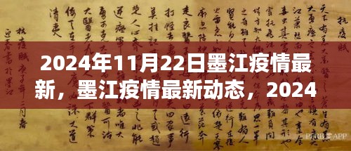 2024年11月22日墨江疫情最新动态与深度解析