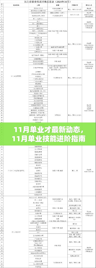 掌握最新动态，11月单业才技能进阶指南与最新动态解析