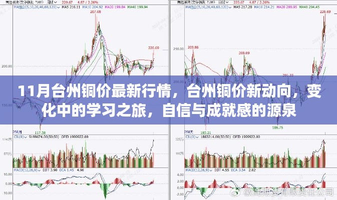 台州铜价最新动态，学习之旅中的自信与成就感之源