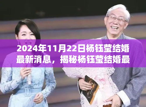 2024年11月22日杨钰莹结婚最新消息，揭秘杨钰莹结婚最新消息，如何获取与验证信息的全面指南