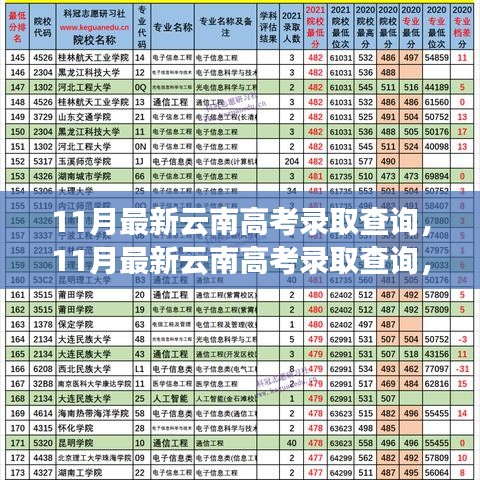 云南高考录取查询最新动态，多维度视角下的分析与观点阐述