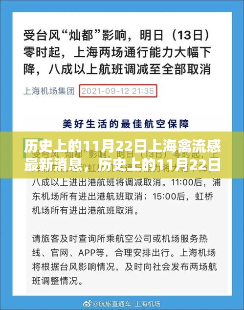 历史上的11月22日上海禽流感最新动态与应对策略全面指南