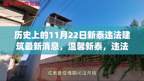 温馨新泰，违法建筑背后的故事与家的纽带——11月22日最新消息