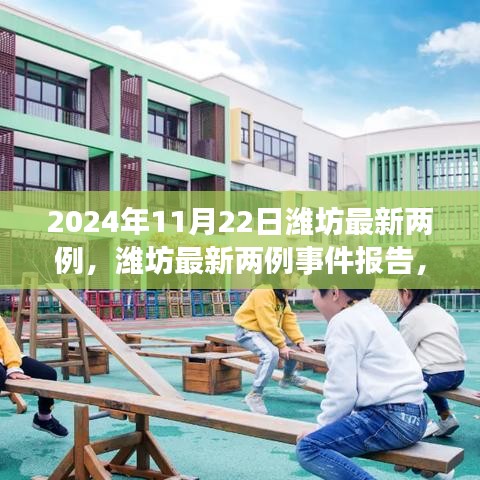 潍坊最新两例事件报告，聚焦要点分析与报告（2024年11月22日）