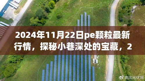 揭秘PE颗粒市场走势与特色小店魅力——2024年11月22日最新行情探秘