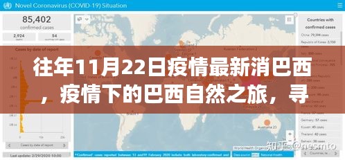 巴西疫情最新动态下的自然之旅，寻找内心的宁静与力量