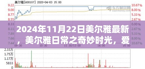 美尔雅日常奇妙时光，爱的纽带与温馨陪伴的奇妙一天（2024年11月22日最新）