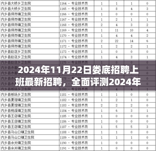 2024年11月22日娄底招聘上班最新招聘，全面评测2024年娄底最新招聘服务深度解析