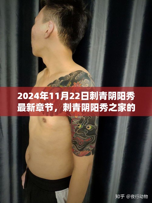 刺青阴阳秀之家，温馨日常的最新篇章（2024年11月22日更新）