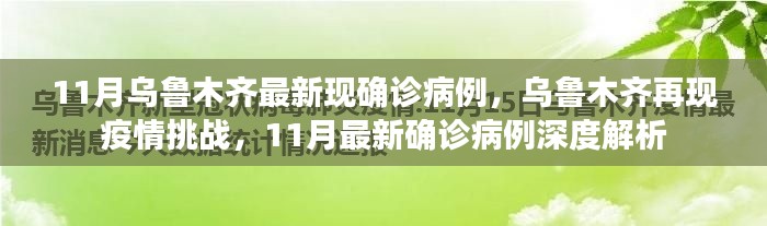 乌鲁木齐再现疫情挑战，11月最新确诊病例深度解析与解析