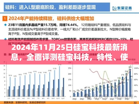 硅宝科技全面评测，特性、使用体验、竞品对比及用户群体深度分析（2024年11月25日最新消息）