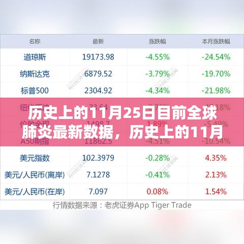 历史上的11月25日全球肺炎数据回顾与最新态势分析