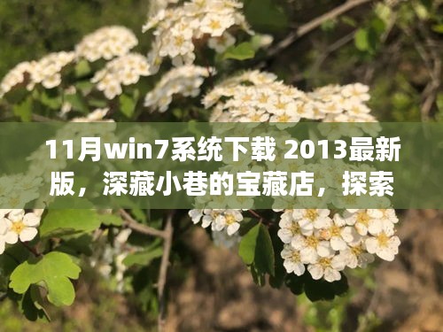 探索宝藏店，Win7系统下载之旅——2013最新版揭秘