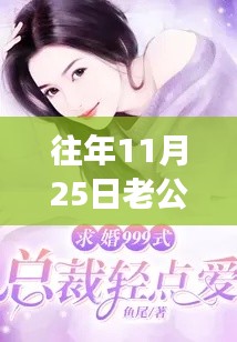 往年11月25日老公轻点爱，最新章节进展与解读