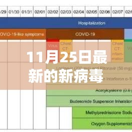 11月25日新病毒深度解析与应对策略