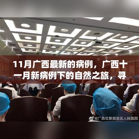 广西十一月新病例背后的自然之旅，寻找心灵宁静与力量之源