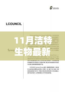 洁特生物最新产品评测报告，十一月新品特性深度解析与使用体验分享