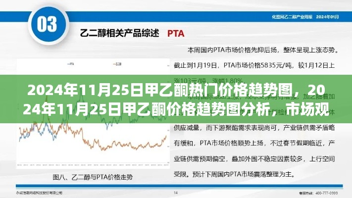 深度解读，2024年11月25日甲乙酮价格趋势与市场观点