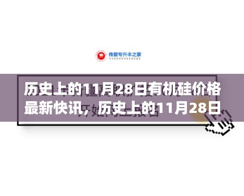 历史上的11月28日有机硅价格最新快讯，历史上的11月28日有机硅价格快讯，一场自然美景之旅的心灵觉醒