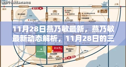 燕乃敏最新动态解析，三大看点揭秘于11月28日