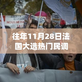 往年11月28日法国大选热门民调深度解析与观察