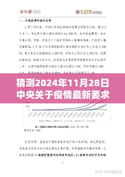 2024年11月28日中央疫情新策略预测与解析