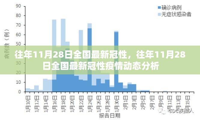 往年11月28日全国新冠疫情动态分析与最新冠性疫情报告