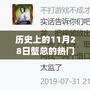 蟹总热门小说，历史上的11月28日阅读指南与深度解析