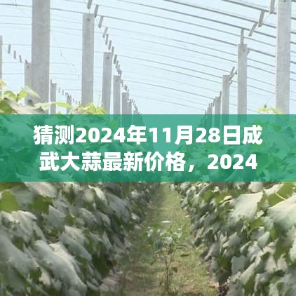 2024年成武大蒜价格预测，历史背景、影响因素与领域地位分析