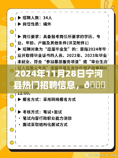 🌟2024年宁河县热门招聘信息全解析🔥