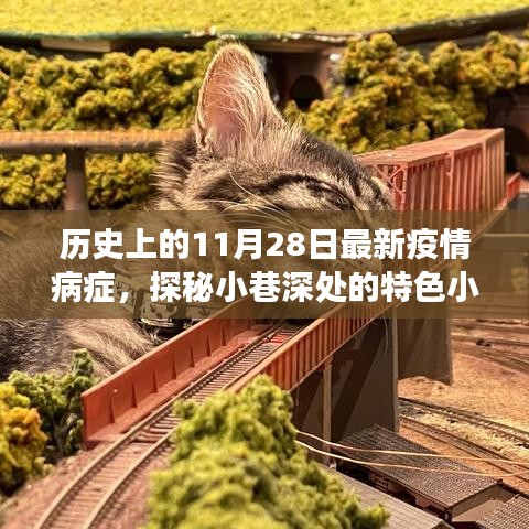 历史上的11月28日与疫情下的独特故事，小巷特色小店探秘之旅