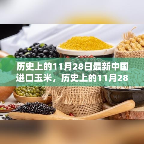 中国进口玉米新篇章，历史上的11月28日里程碑事件