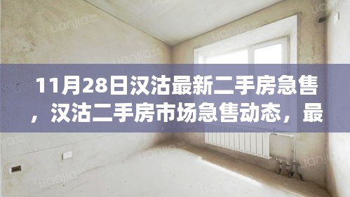 11月28日汉沽二手房市场急售动态及最新房源解析，市场趋势展望