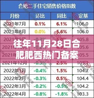 合肥肥西热门备案房价指南，历年11月28日房价查询及购房指南（初学者与进阶用户适用）