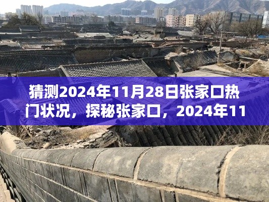 探秘张家口，2024年11月28日热门状况与小巷深处的独特风情