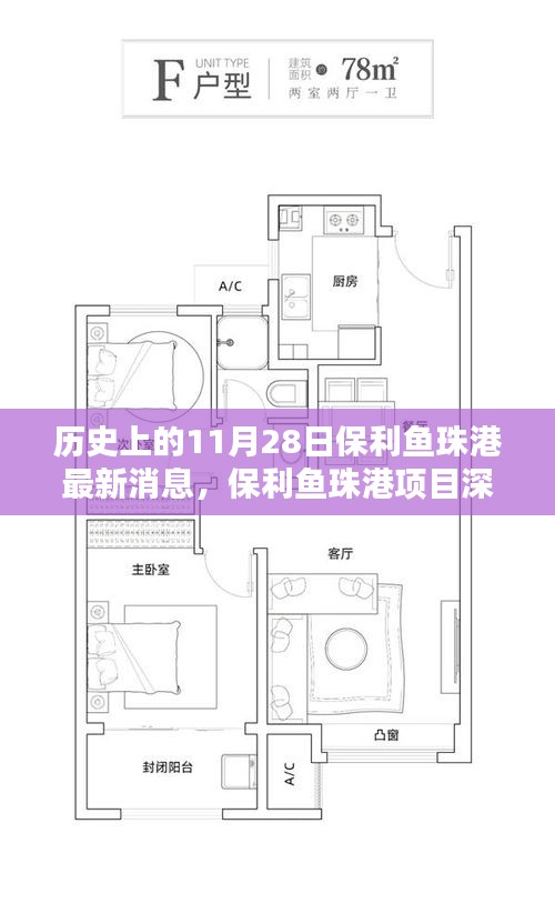 保利鱼珠港项目深度评测，历史沿革与最新动态解析——11月28日最新消息速递