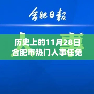 历史上的11月28日合肥市人事任免深度解析，影响与观点探讨