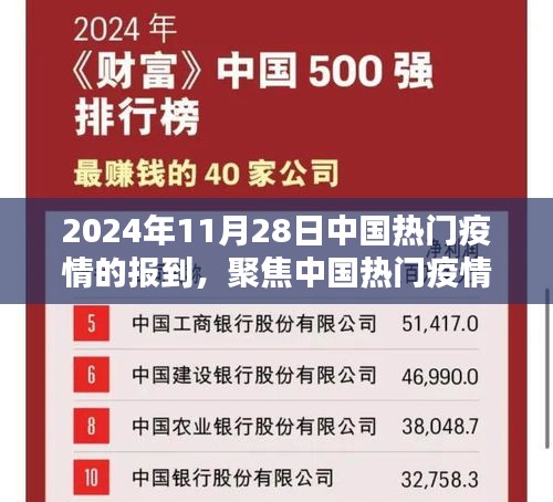 深度聚焦，中国热门疫情报道——2024年11月28日深度解读