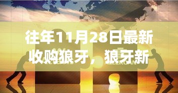 往年11月28日最新收购狼牙，狼牙新纪元，一次历史与未来的交汇收购