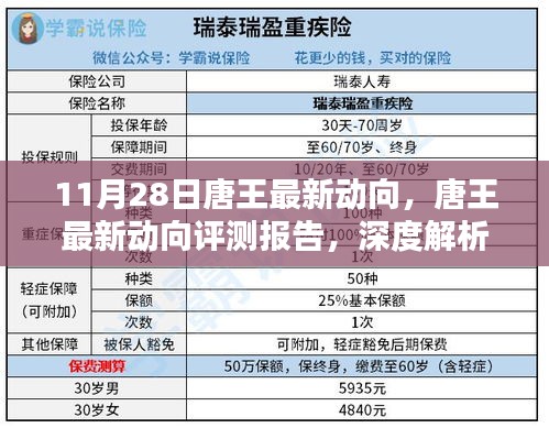 唐王最新动向深度解析，产品特性、使用体验与评测报告